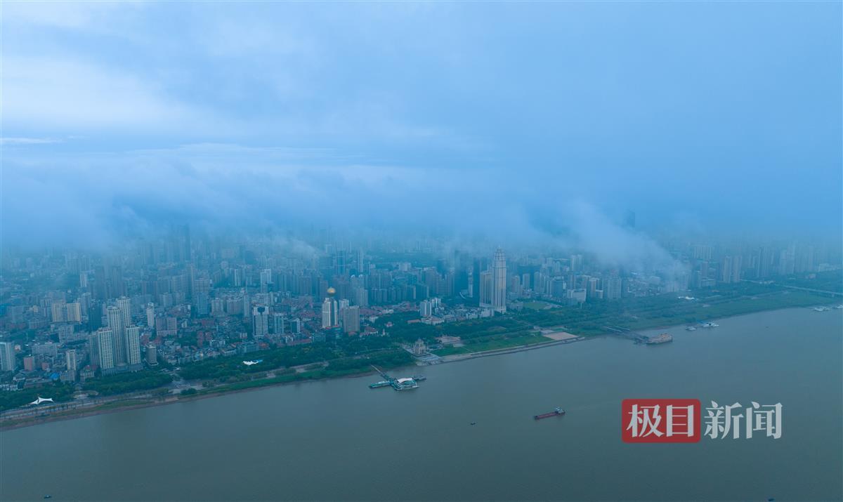 网投官网可提现
